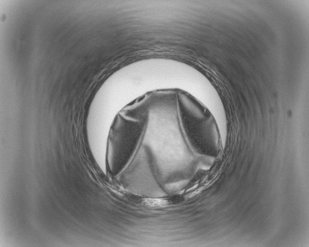 X0000087560429200705112152