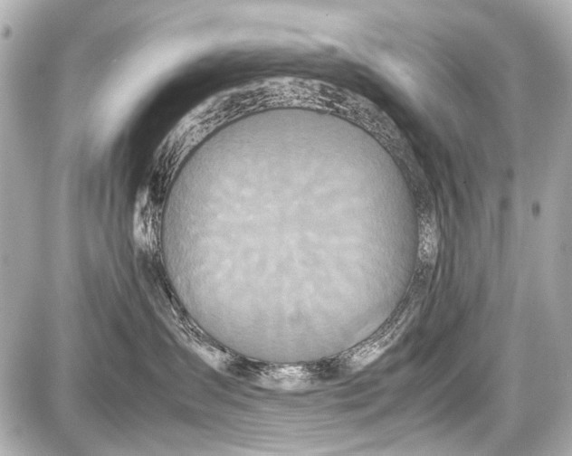 X0000087560431200705112152