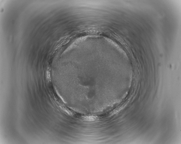 X0000087560432200705112152