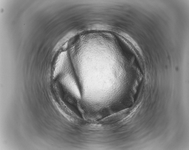 X0000087560437200705112151
