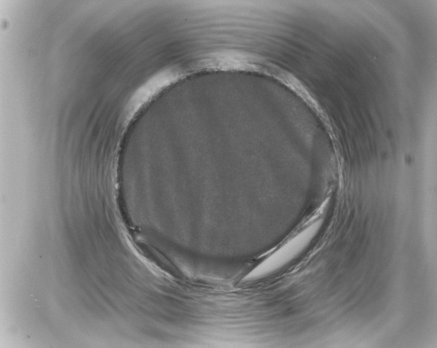 X0000087560438200705112151