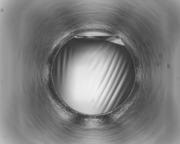 X0000087560448200705112151