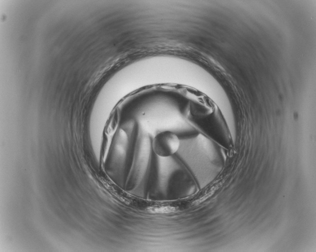 X0000087560452200705112151