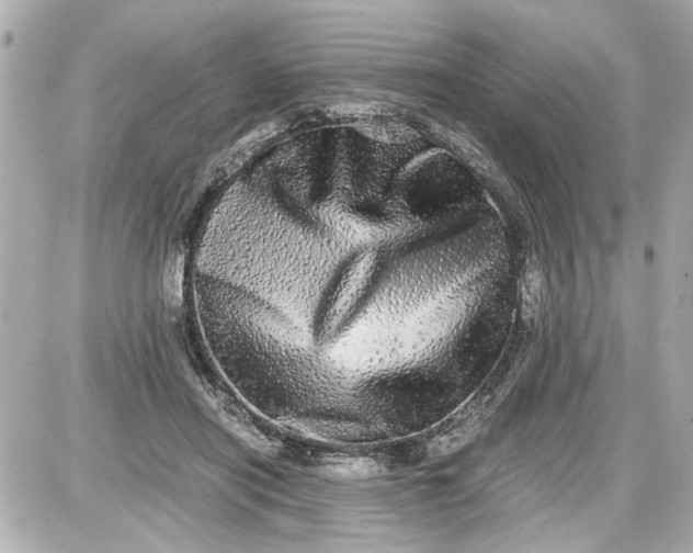 X0000087560454200705112151