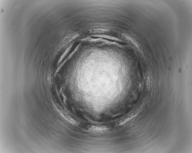 X0000087560455200705112151