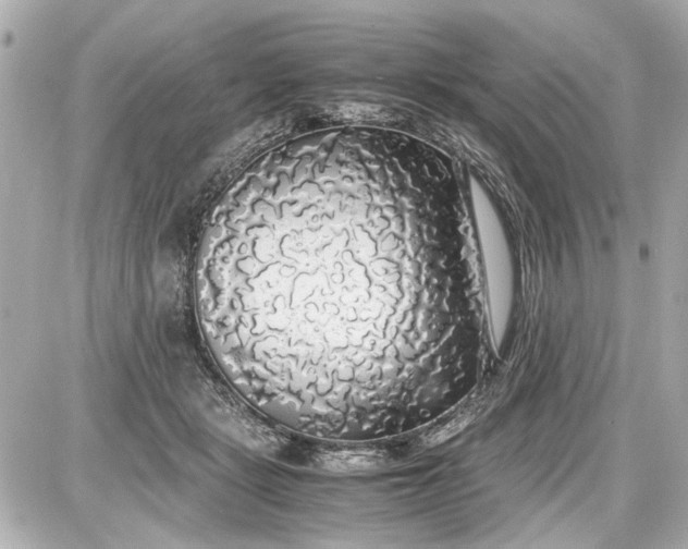 X0000087560461200705112151