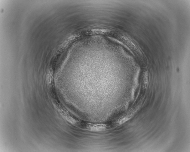 X0000087560463200705112151