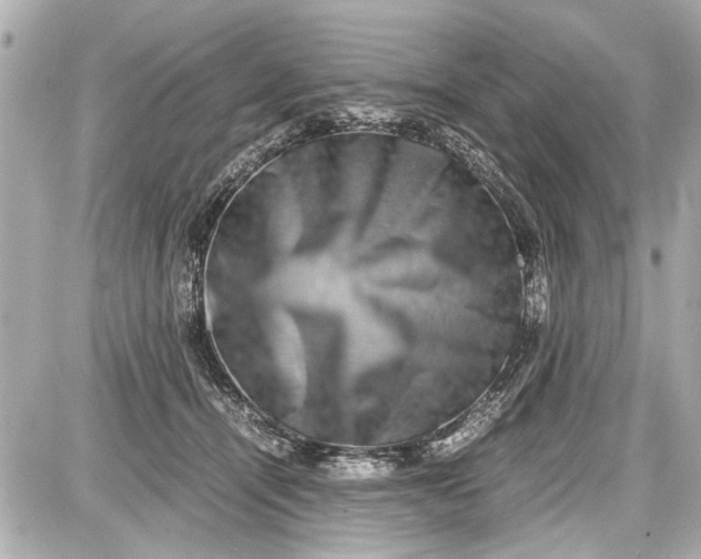 X0000087560464200705112151