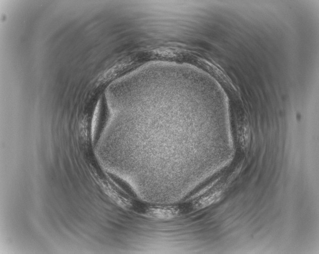 X0000087560466200705112152