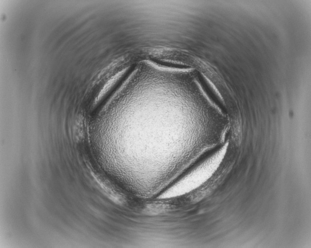 X0000087560470200705112152
