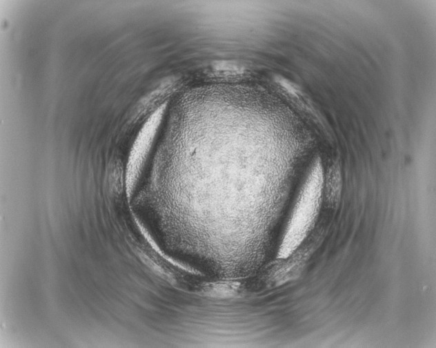 X0000087560474200705112152