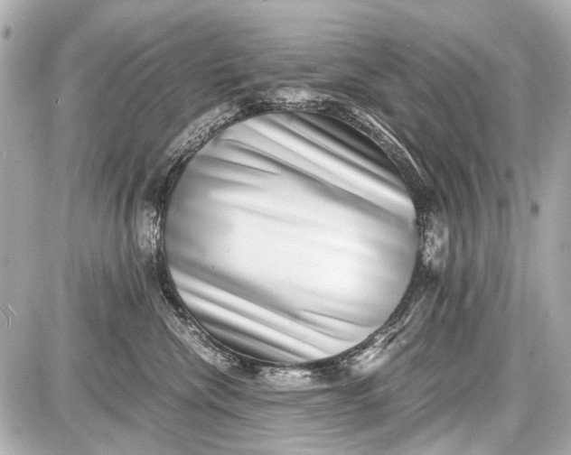X0000087560476200705112152