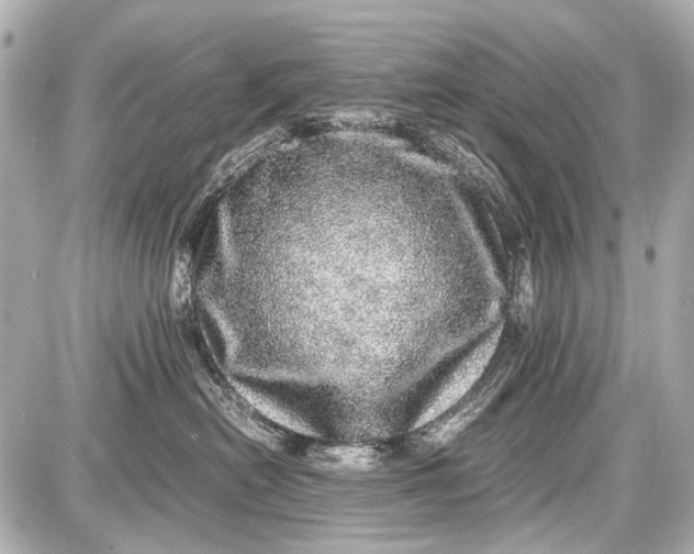 X0000087560478200705112152