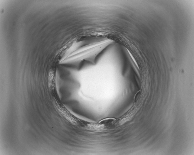 X0000087560480200705112152