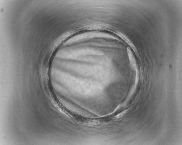 X0000087560485200705112151
