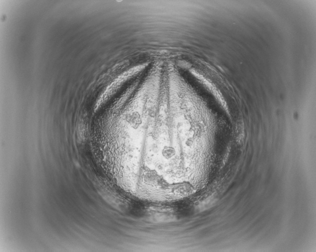 X0000087560515200705112150