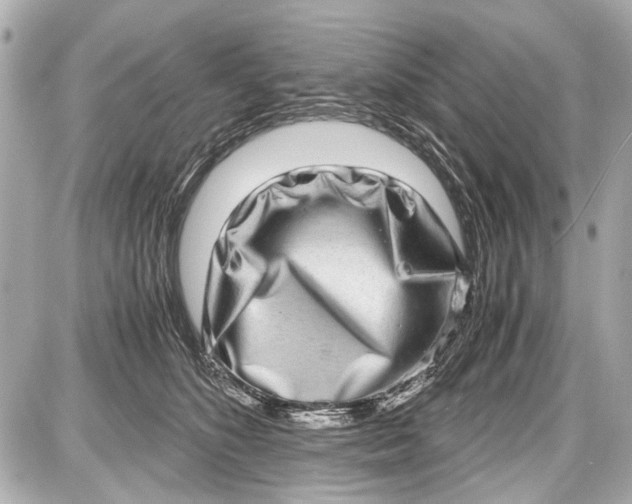 X0000087560516200705112150