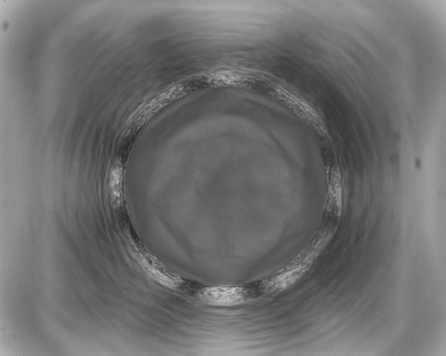 X0000087560526200705112150