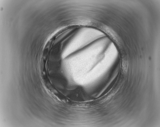 X0000087560532200705112149