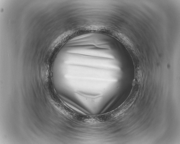 X0000087560544200705112150