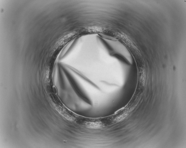 X0000087560548200705112150