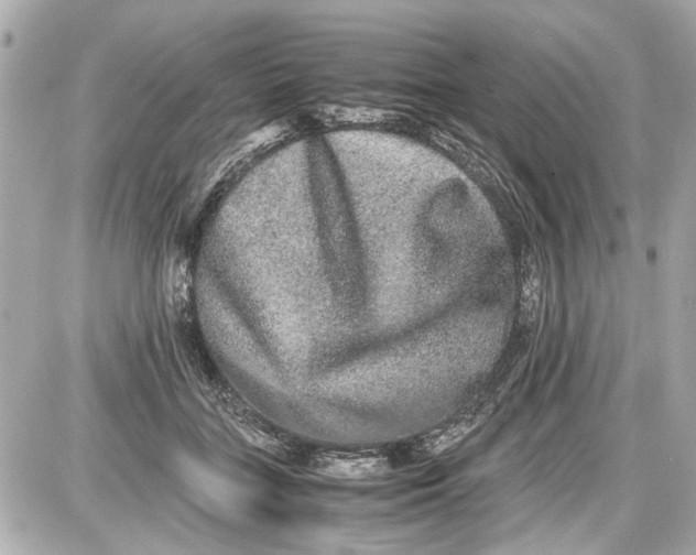 X0000087560555200705112150