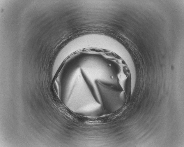 X0000087560556200705112150