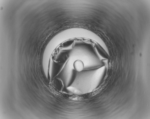 X0000087560564200705112150