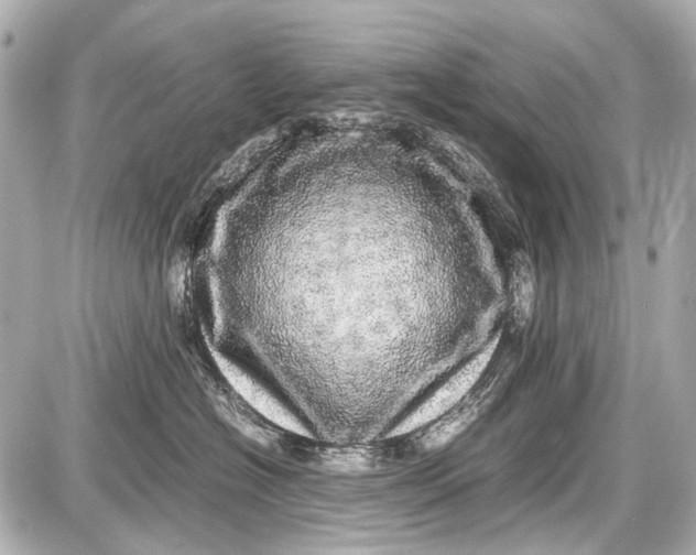 X0000087560574200705112150