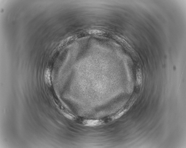 X0000087560575200705112150