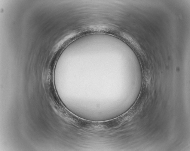 X0000087560583200705112149