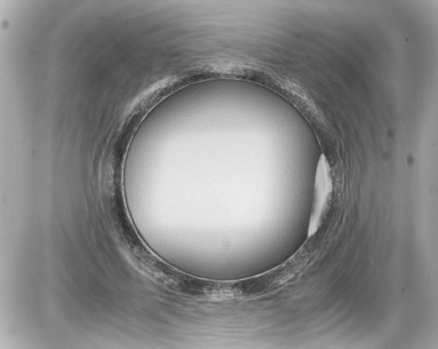 X0000087560587200705112149