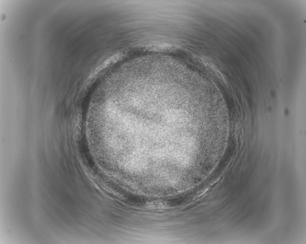 X0000087560591200705112149