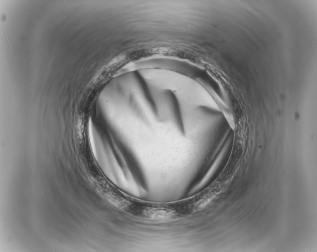 X0000087560597200705112149