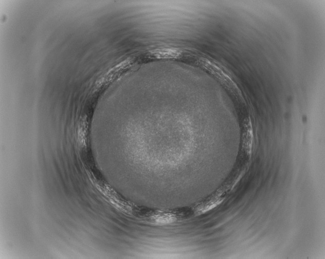 X0000087560604200705112149