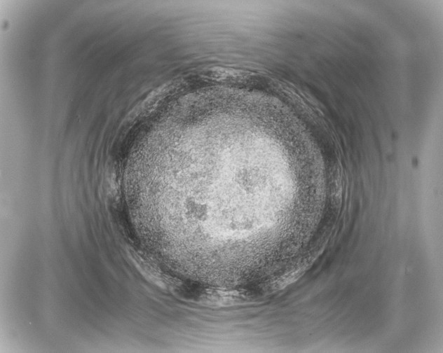 X0000087560607200705112149