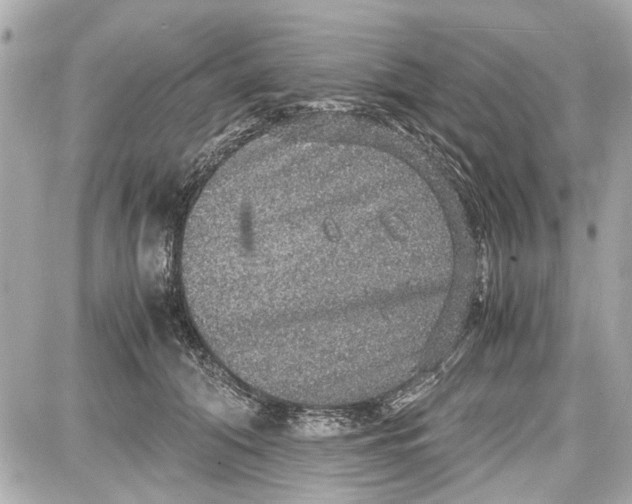 X0000087560608200705112149