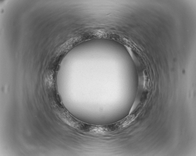 X0000087560611200705112149