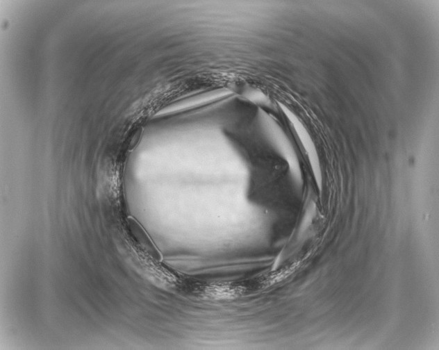 X0000087560613200705112149