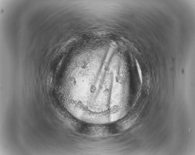 X0000087560615200705112149