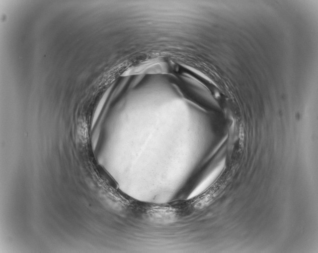 X0000087560617200705112149