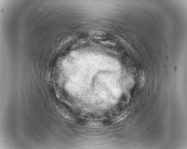 X0000087560619200705112149