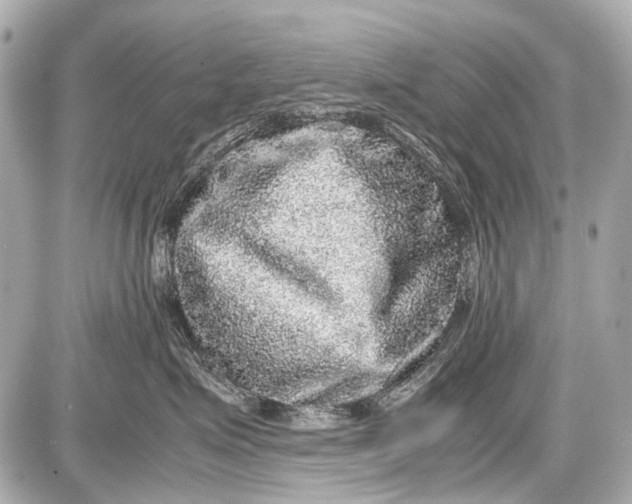 X0000087560623200705112149