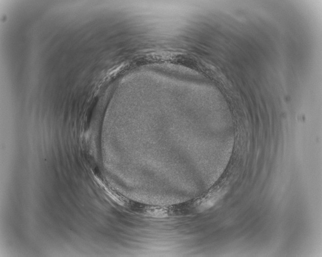 X0000087560624200705112149