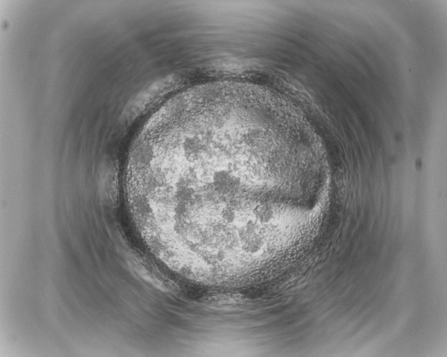 X0000087560642200705112148