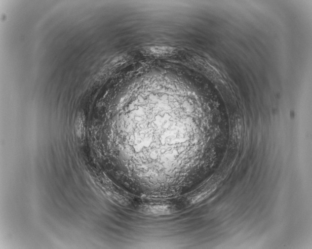 X0000087560651200705112148