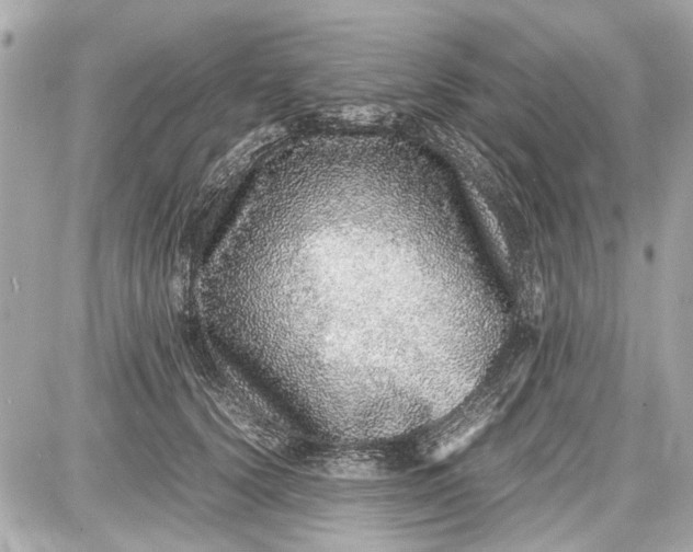 X0000087560656200705112148