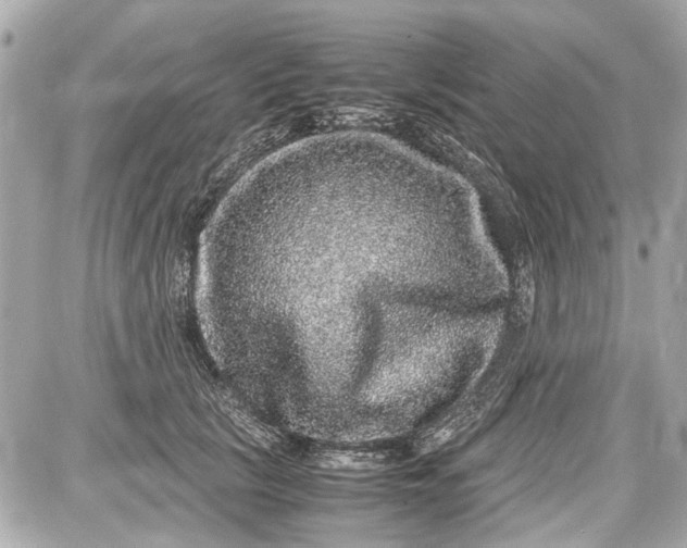 X0000087560657200705112148