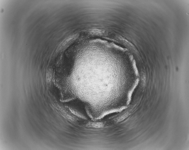 X0000087560665200705112149