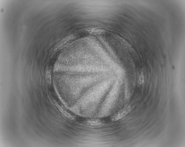 X0000087560666200705112149